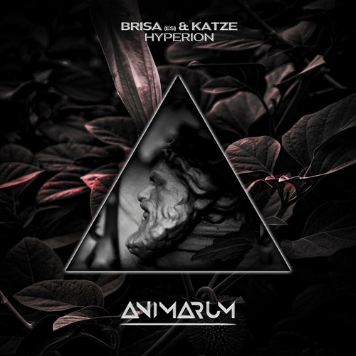 Brisa (ES) & Katze - Hyperion [AMR49]